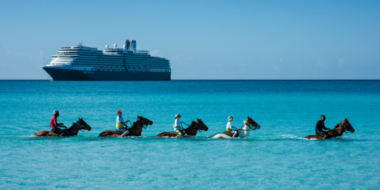 Half Moon Cay Horses in Water