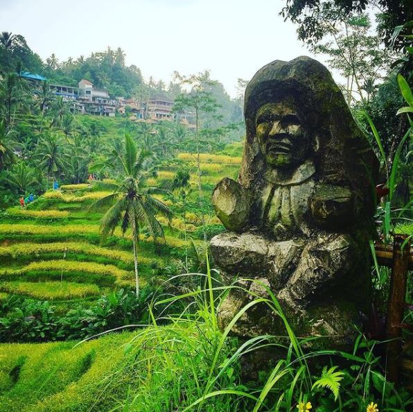 Tegalalang rice terrace Ubud