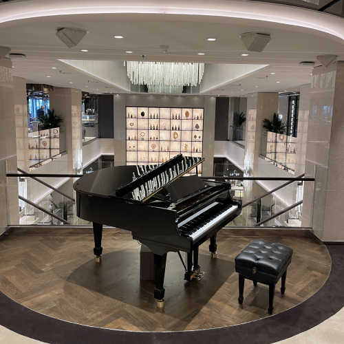 Grand piano in the Lobby Bar of Explora I