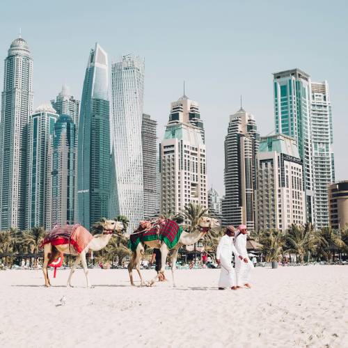 Dubai beach with camels