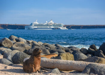 cunard iceland cruise 2024