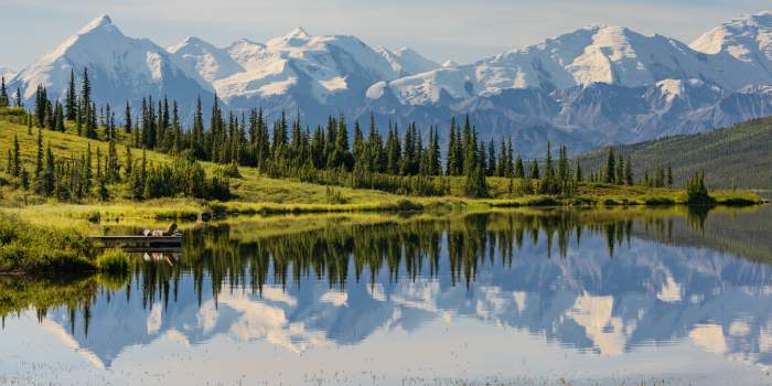 Mountain views in Denali National Park, Alaska