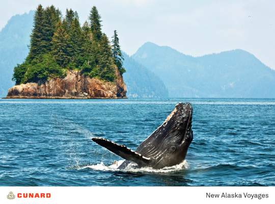 Whale watching in Alaska