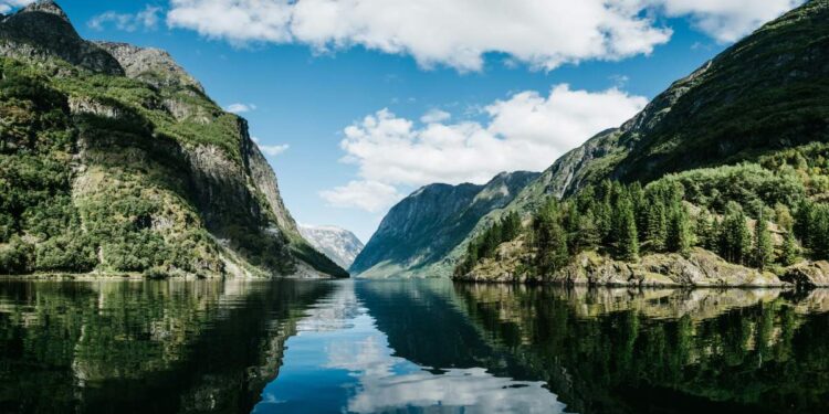 Norwegian Fjords in summer