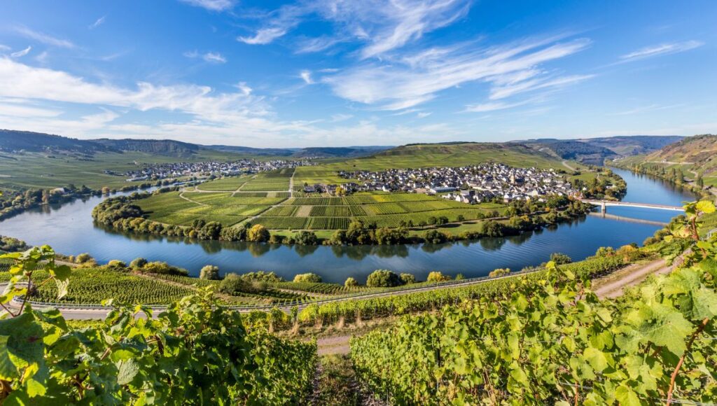 The Rhine River