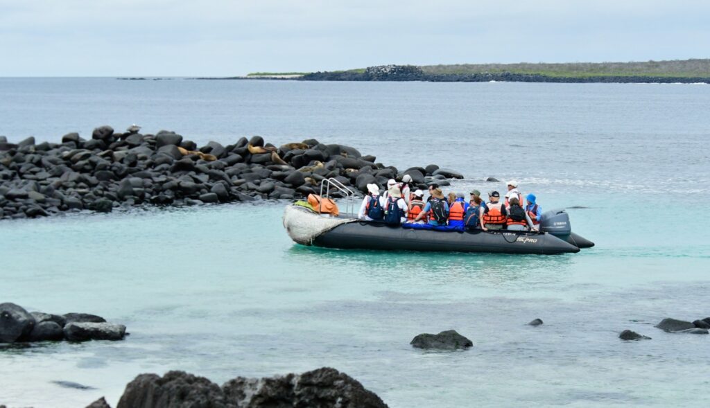 Expedition cruise guests arriving by Zodiac in the Galapagos Islands