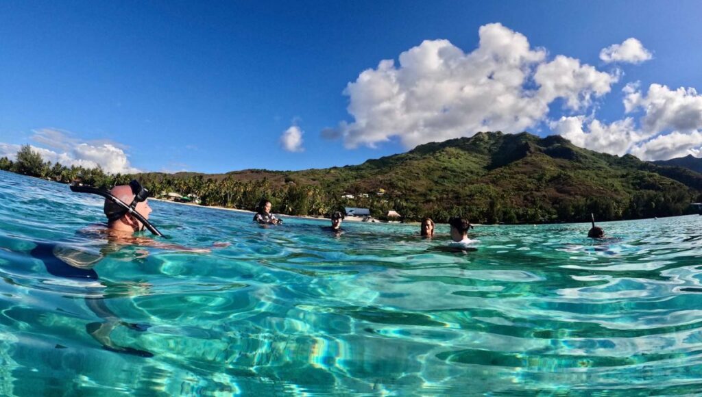 Experience drift snorkeling among coral gardens.