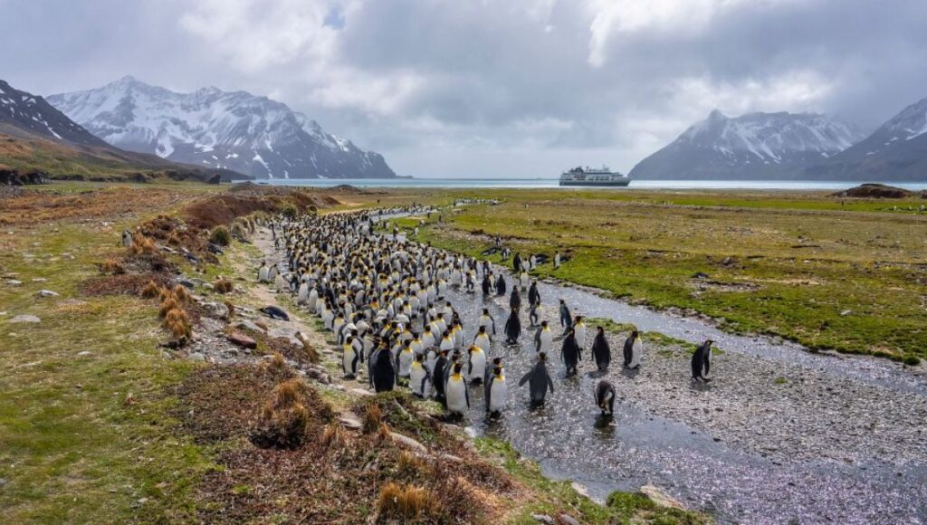 Fortuna South Georgia