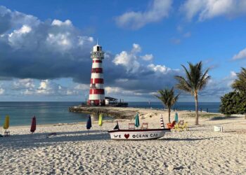 Top 5 Things to Do at Ocean Cay MSC Marine Reserve