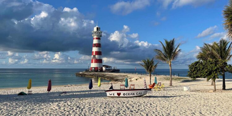 Top 5 Things to Do at Ocean Cay MSC Marine Reserve