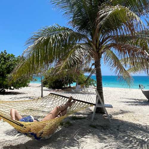 Relaxing in a hammock by the cactus bar on MSC Cruises private island Ocean Cay