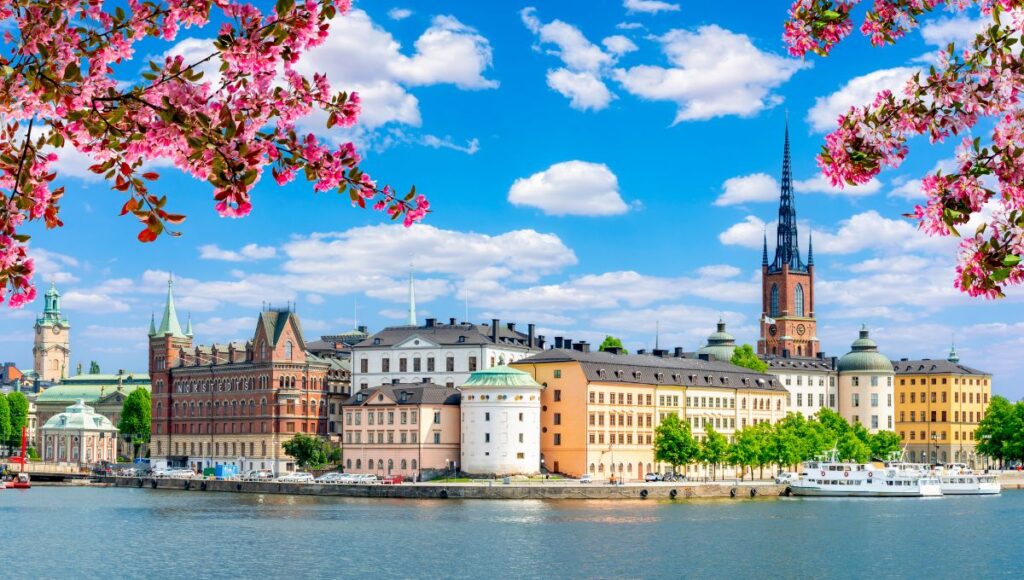 Historic waterfront and skyline of Stockholm, Sweden, with cherry blossoms in bloom.