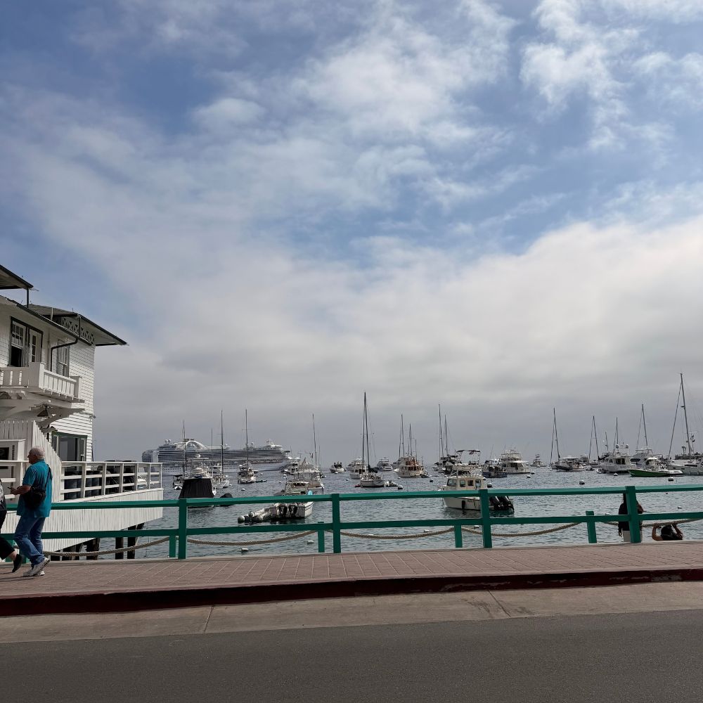 Boats moored at the marina in Catalina Island with Ruby Princess in the background