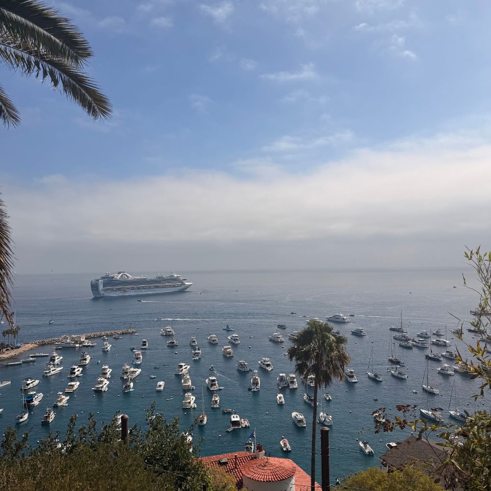 View over the bat at Catalina Island from the Chimes Tower lookout.