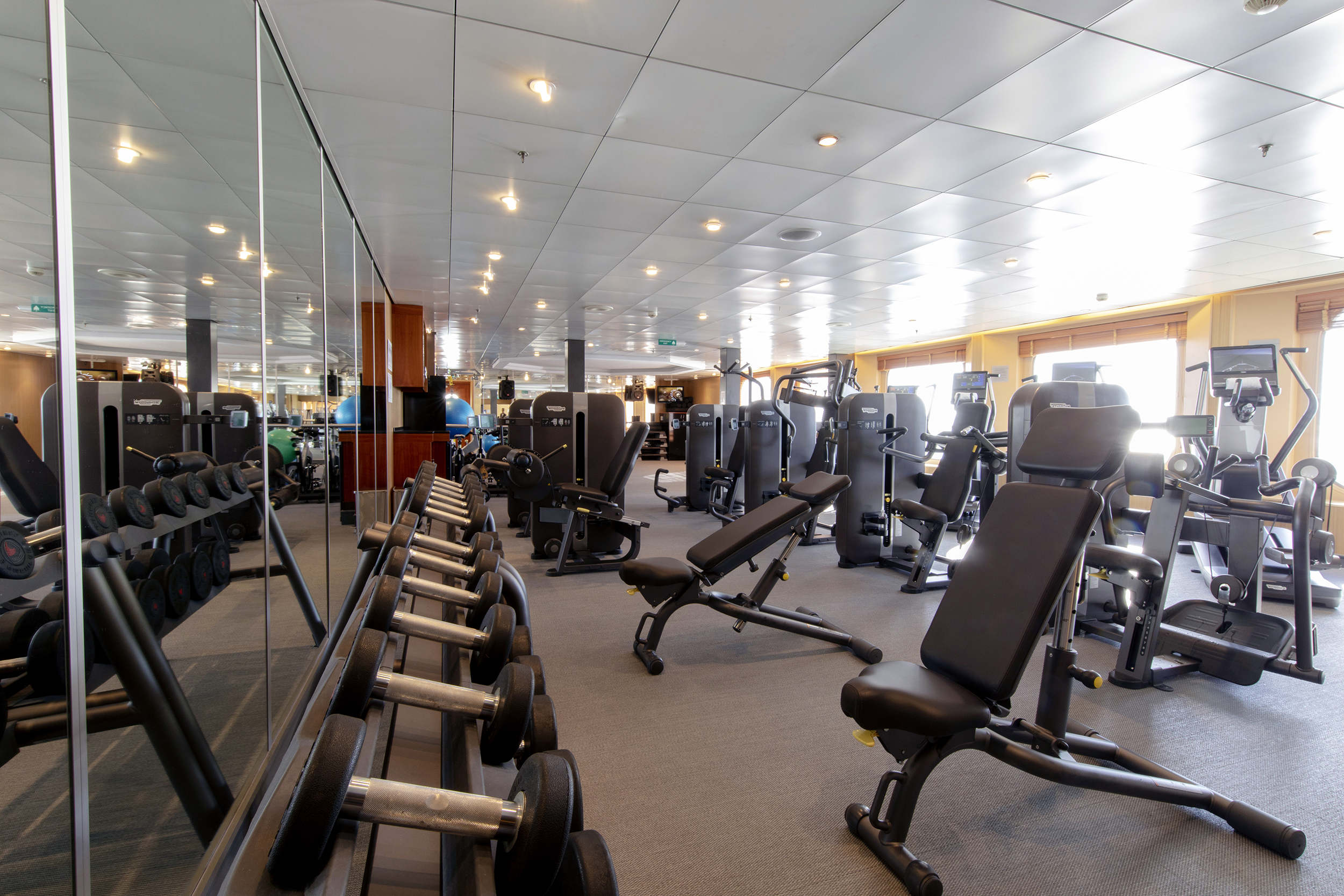 The gym