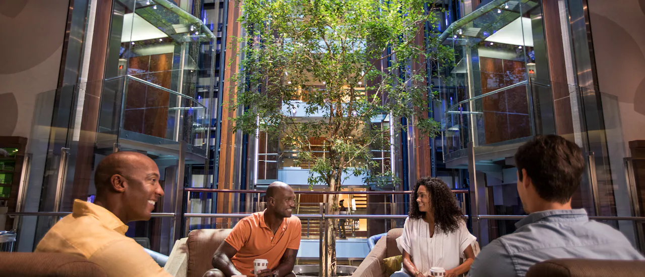 A view over the atrium with its “hanging” tree