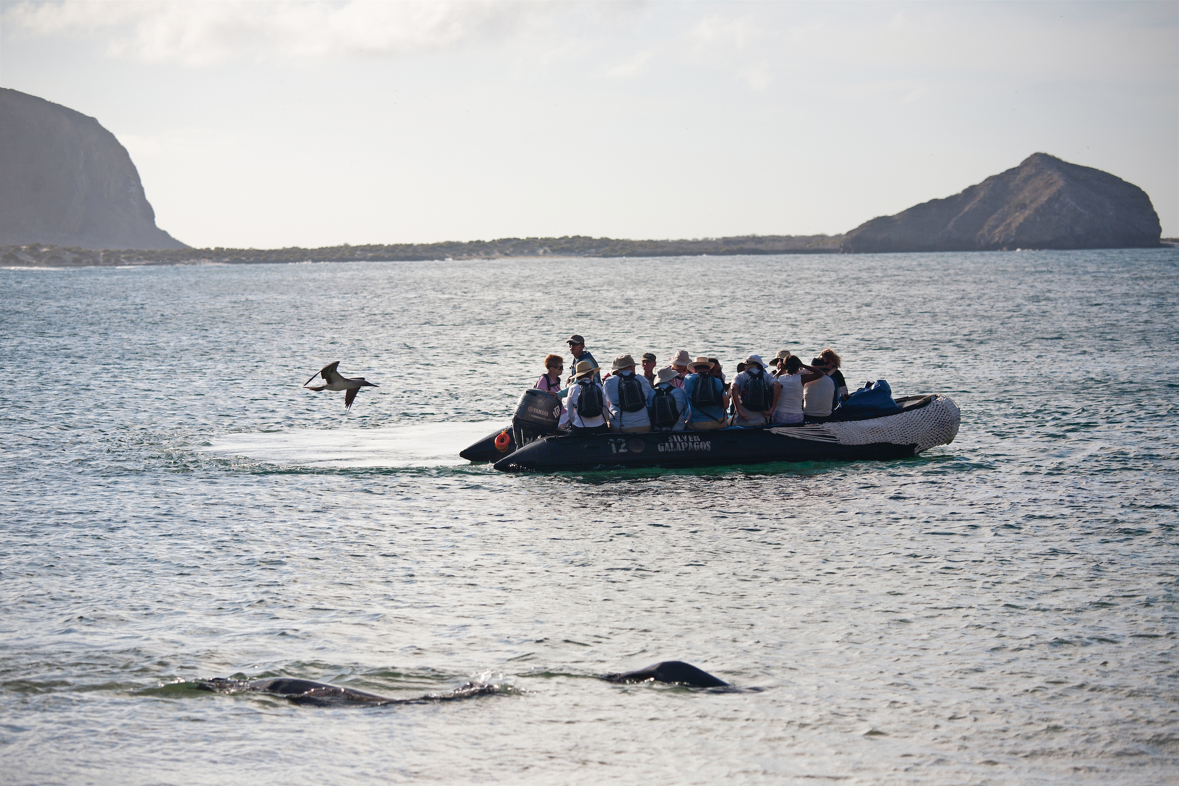 Zodiak boats zodiac boats take you on adventures
