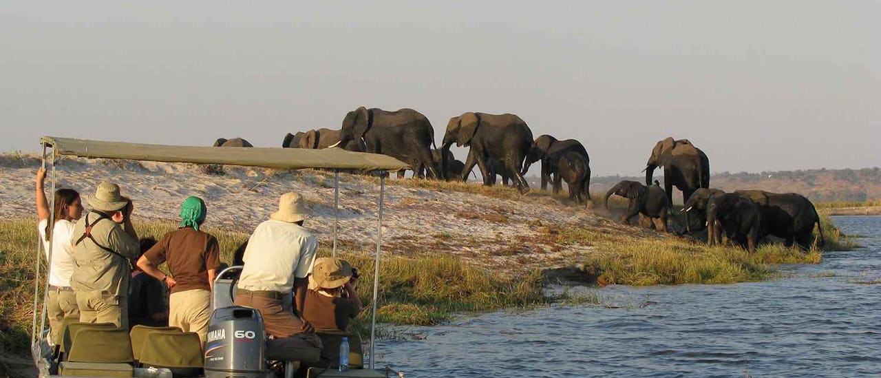 Viewing the wildlife by venturing out on private safari boat