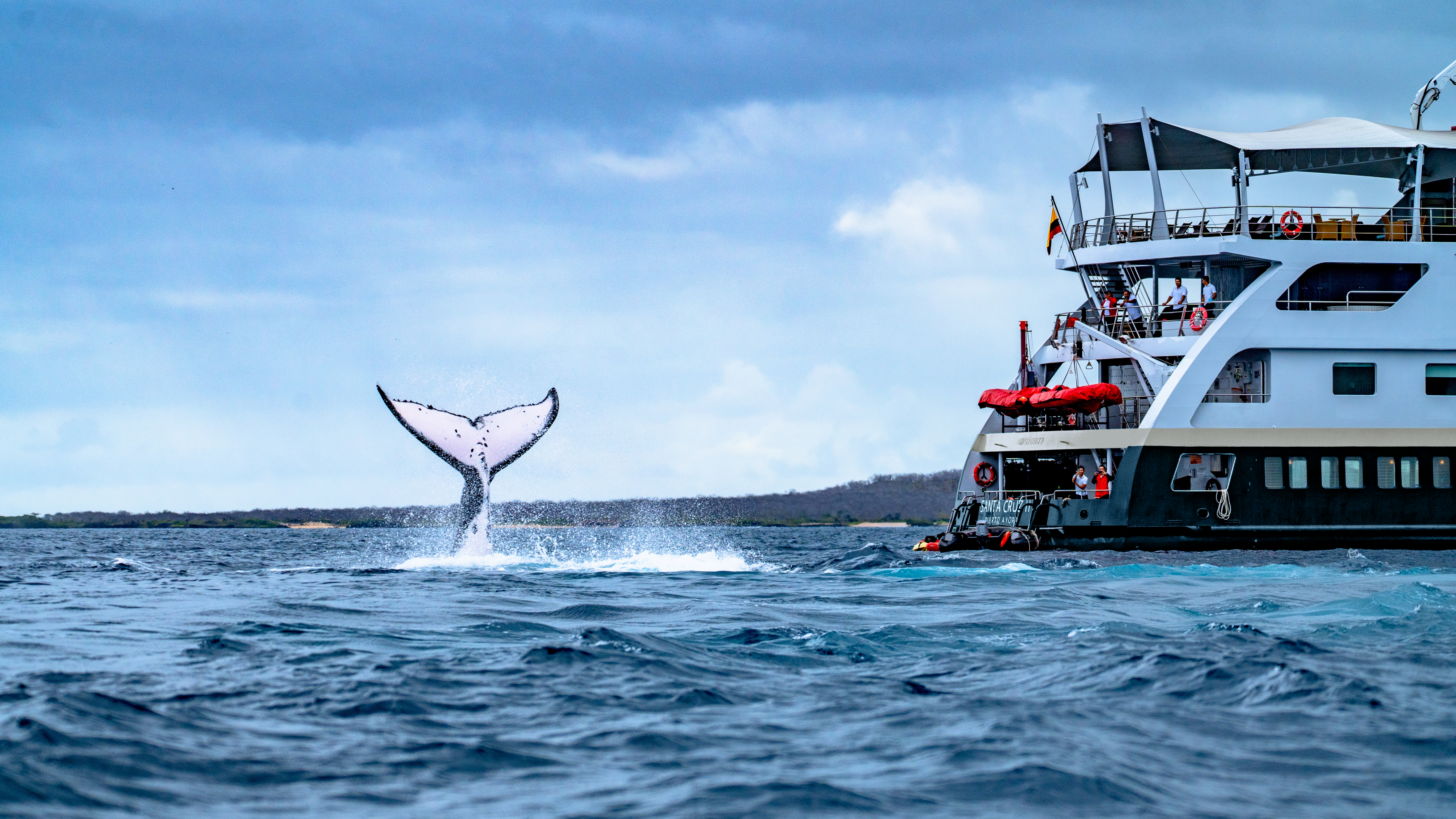 MS Santa Cruz II, Galapagos
