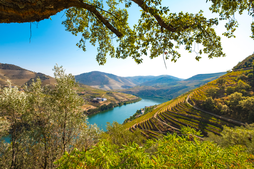 Viking Helgrim, Douro River