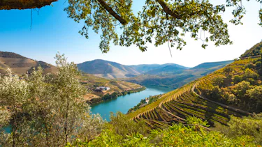 Viking Helgrim, Douro River