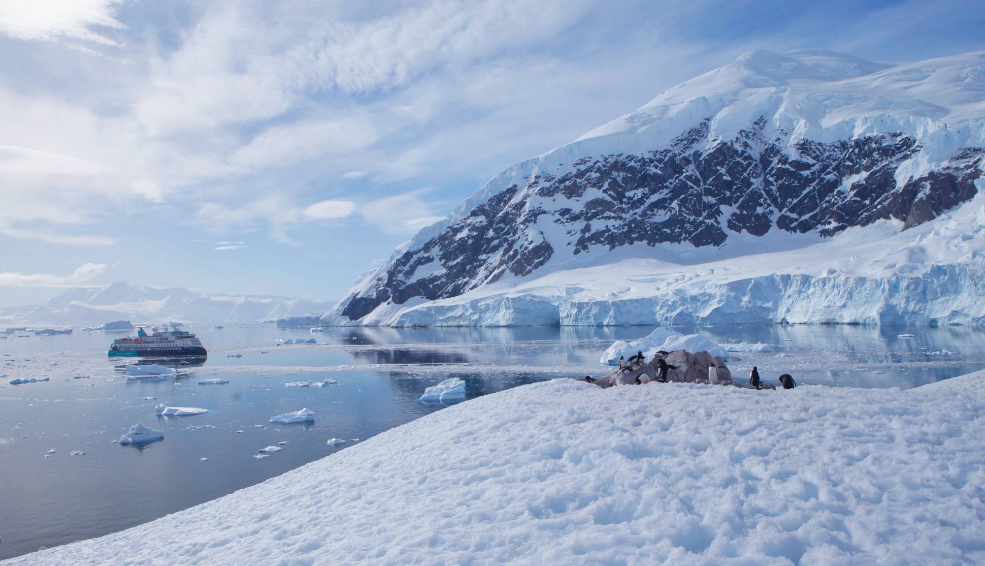 AE Expeditions - Sylvia Earle, Neko Harbour, Antarctica Penguins