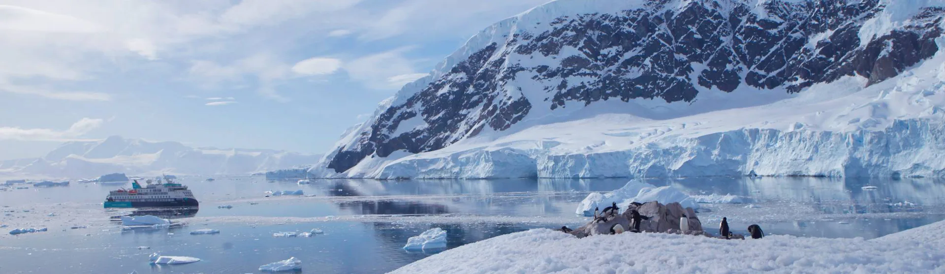 AE Expeditions - Sylvia Earle, Neko Harbour, Antarctica Penguins