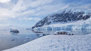AE Expeditions - Sylvia Earle, Neko Harbour, Antarctica Penguins
