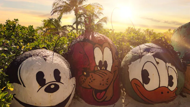 Disney Castaway Cay - Character buoys on the beach