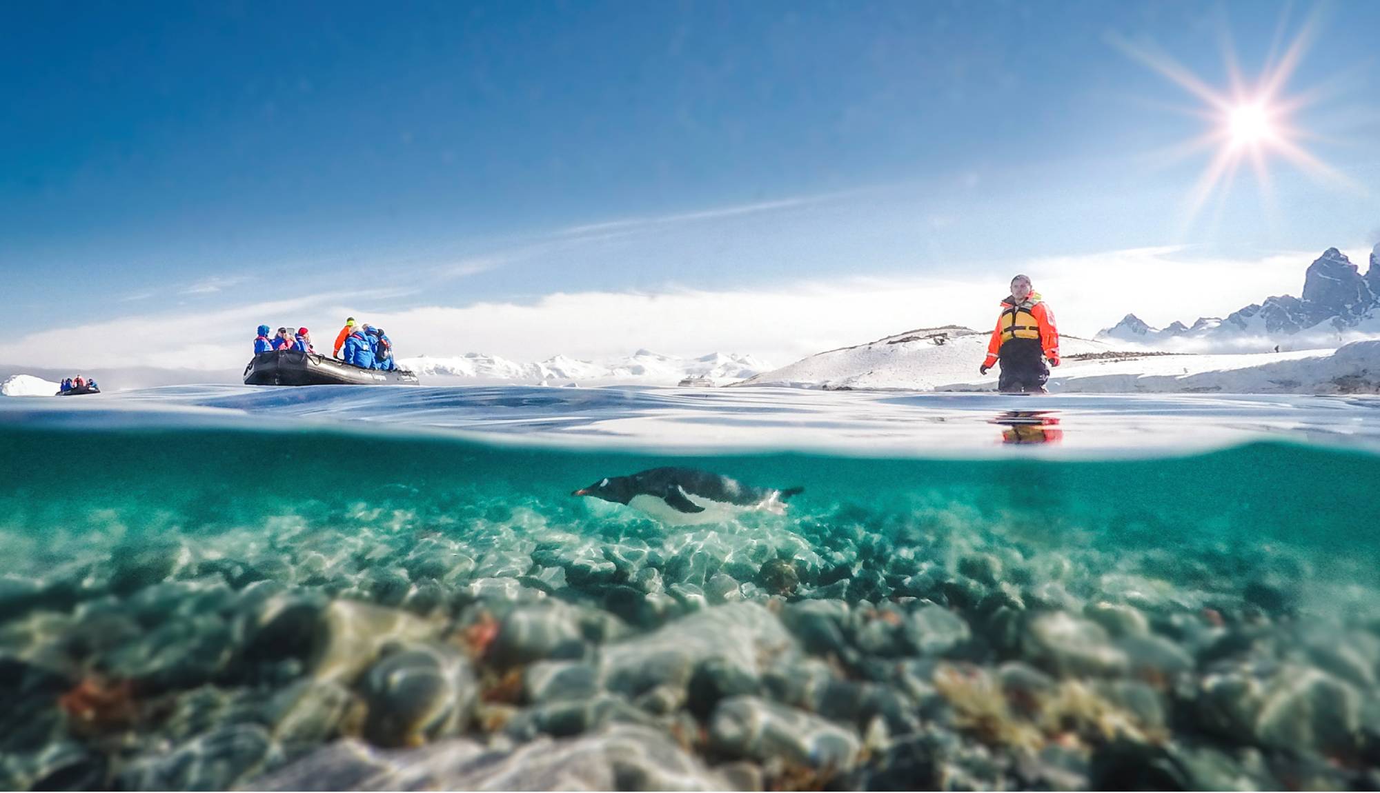 Hapag-Lloyd Cruises - HANSEATIC nature - Antarctica Penguin Swimming