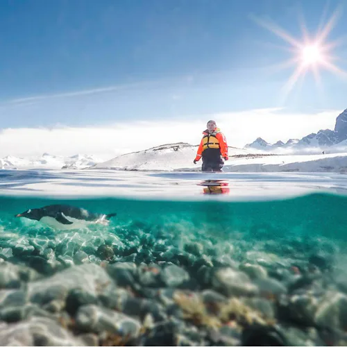 Hapag-Lloyd Cruises - HANSEATIC nature - Antarctica Penguin Swimming