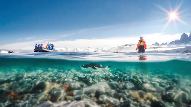 Hapag-Lloyd Cruises - HANSEATIC nature - Antarctica Penguin Swimming