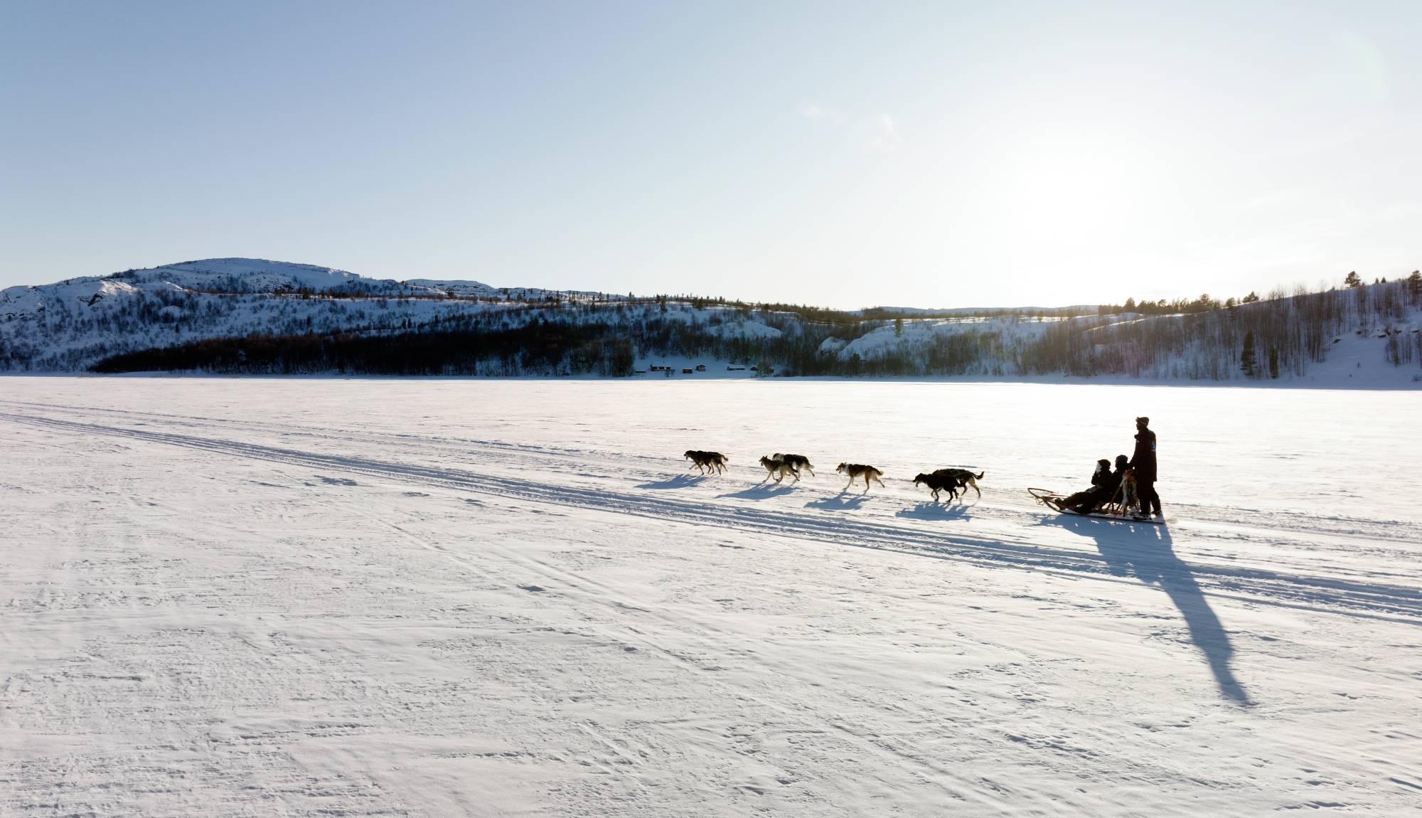 Havila Voyages - Excursions, Kirkenes - Dog Sledging