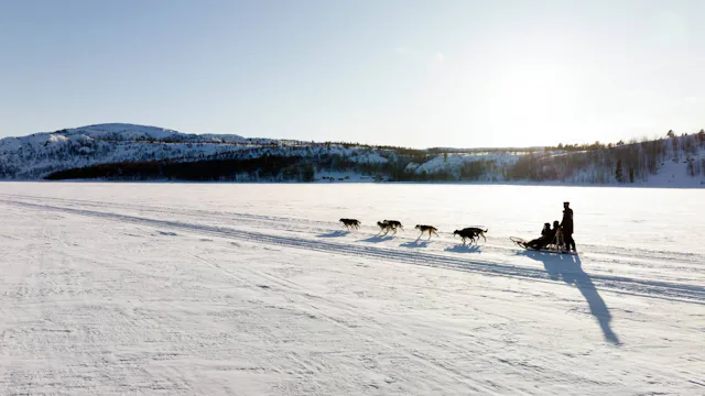 Havila Voyages - Excursions, Kirkenes - Dog Sledging