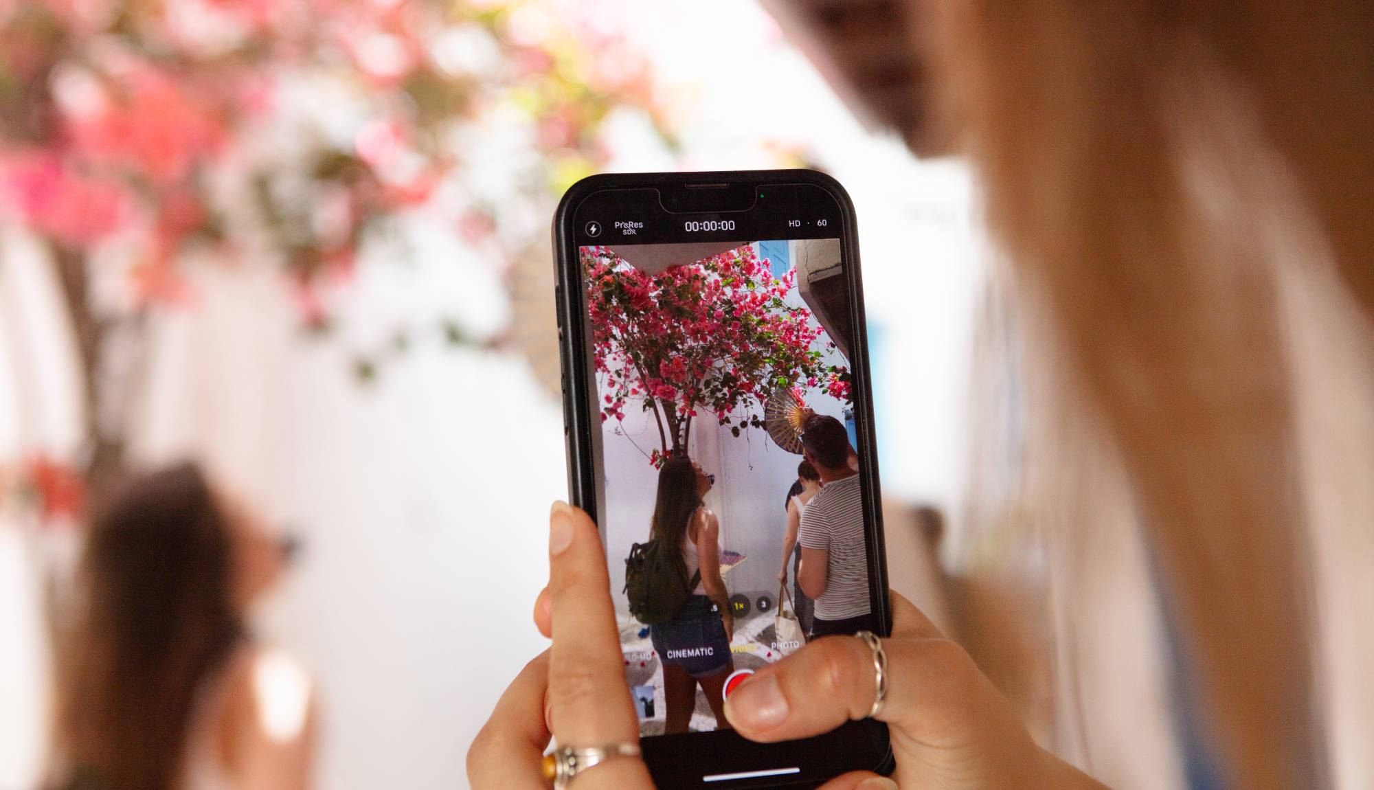 Celestyal - Mykonos - Taking photo of blossom