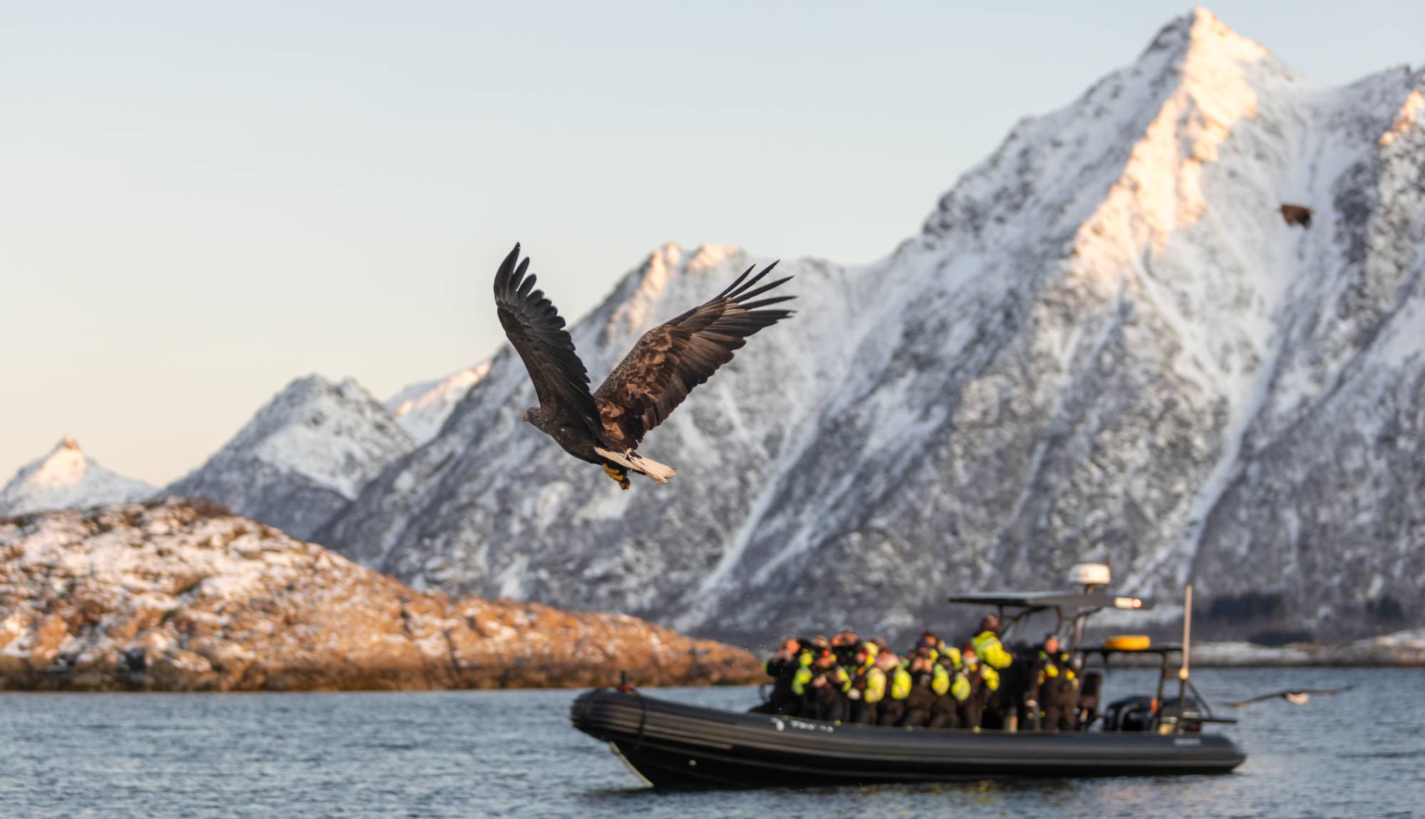 Hurtigruten - Sea Eagle and rib in Svolvær