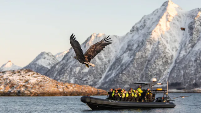 Hurtigruten - Sea Eagle and rib in Svolvær