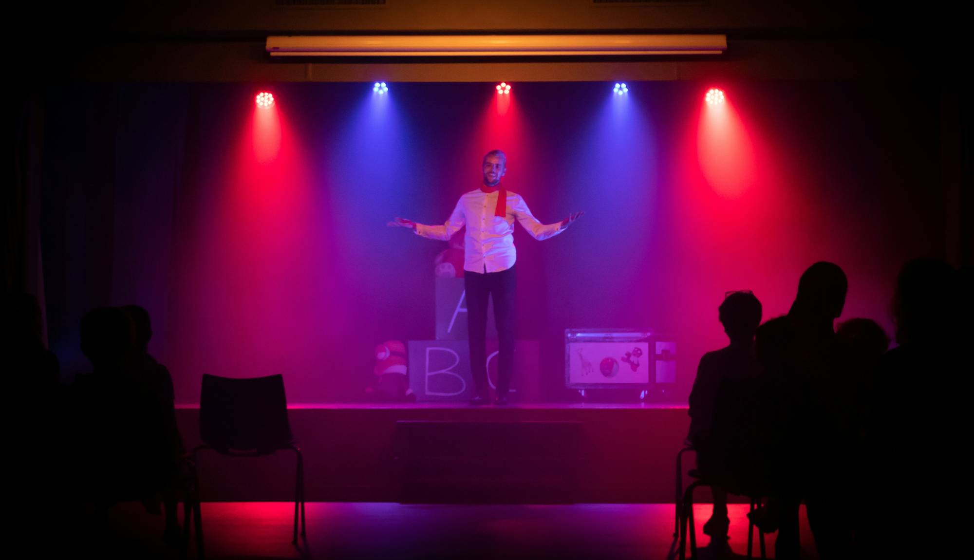Ambassador Cruise Line Themed Cruises - Comedy and Performance Cruises