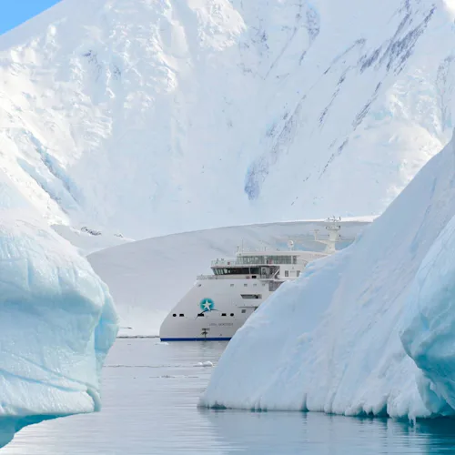 AE Expeditions - Greg Mortimer in Antarctica
