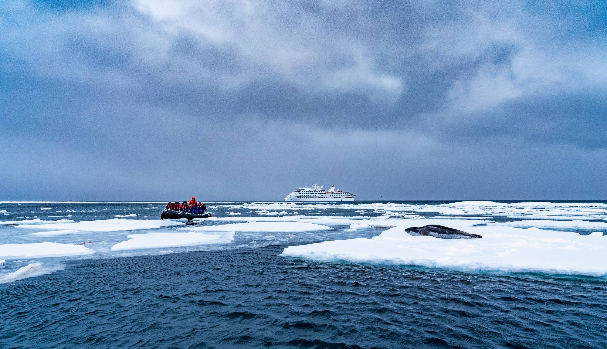 AE Expeditions - Greg Mortimer Passengers Zodiac cruise near Leopard Sea