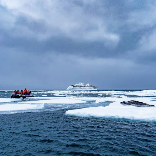 AE Expeditions - Greg Mortimer Passengers Zodiac cruise near Leopard Sea