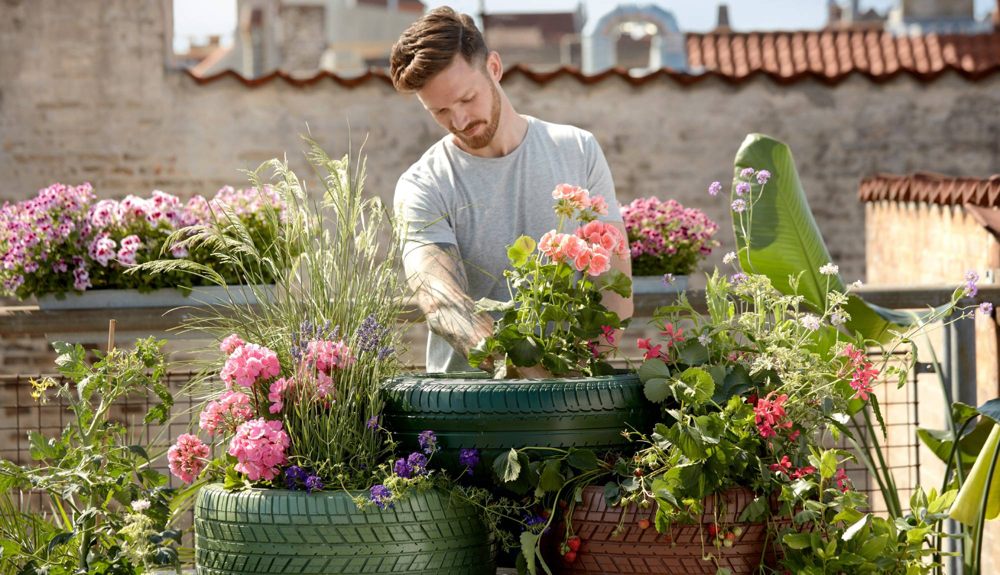 Ambassador Cruise Line Themed Cruises - Gardening, Wildlife and Nature Cruises