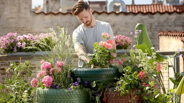Ambassador Cruise Line Themed Cruises - Gardening, Wildlife and Nature Cruises