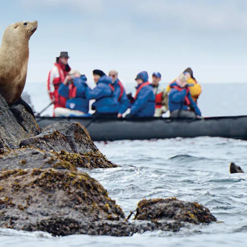 Hapag-Lloyd Cruises - HANSEATIC nature - Antarctica Zodiac Seals
