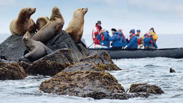 Hapag-Lloyd Cruises - HANSEATIC nature - Antarctica Zodiac Seals