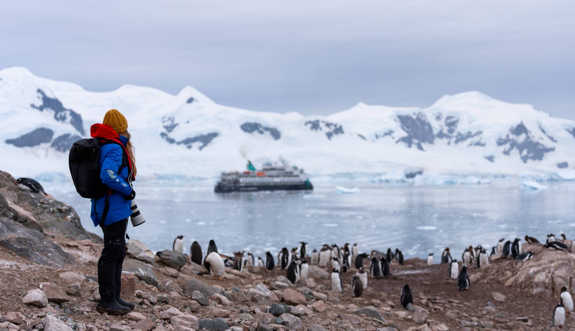 AE Expeditions - Douglas Mawson Woman looking at penguin colony and ship