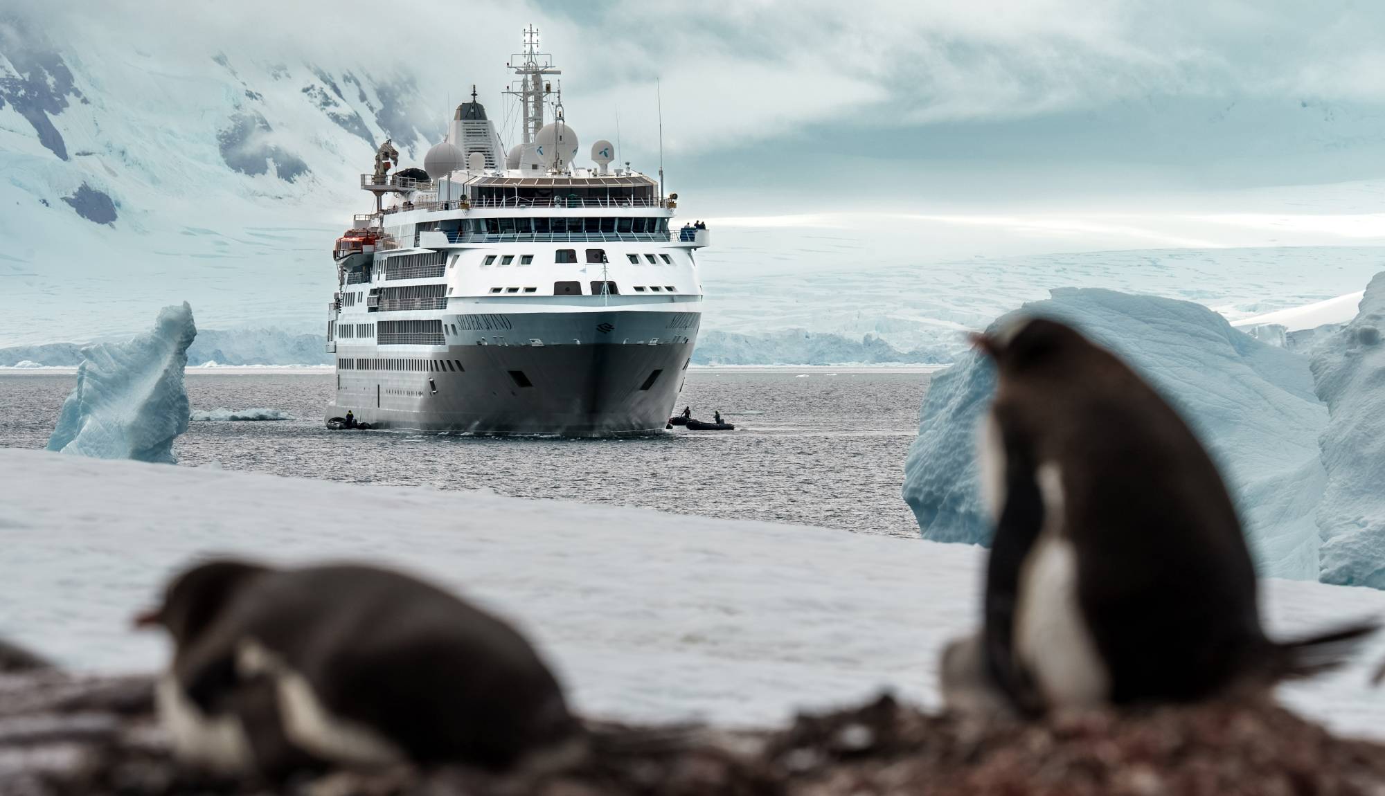 Silversea - Silver Wind - Antarctica