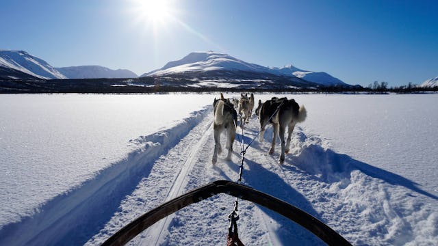 Fred. Olsen Cruise Lines Norway - Dog Sledding in Tromso, Norway