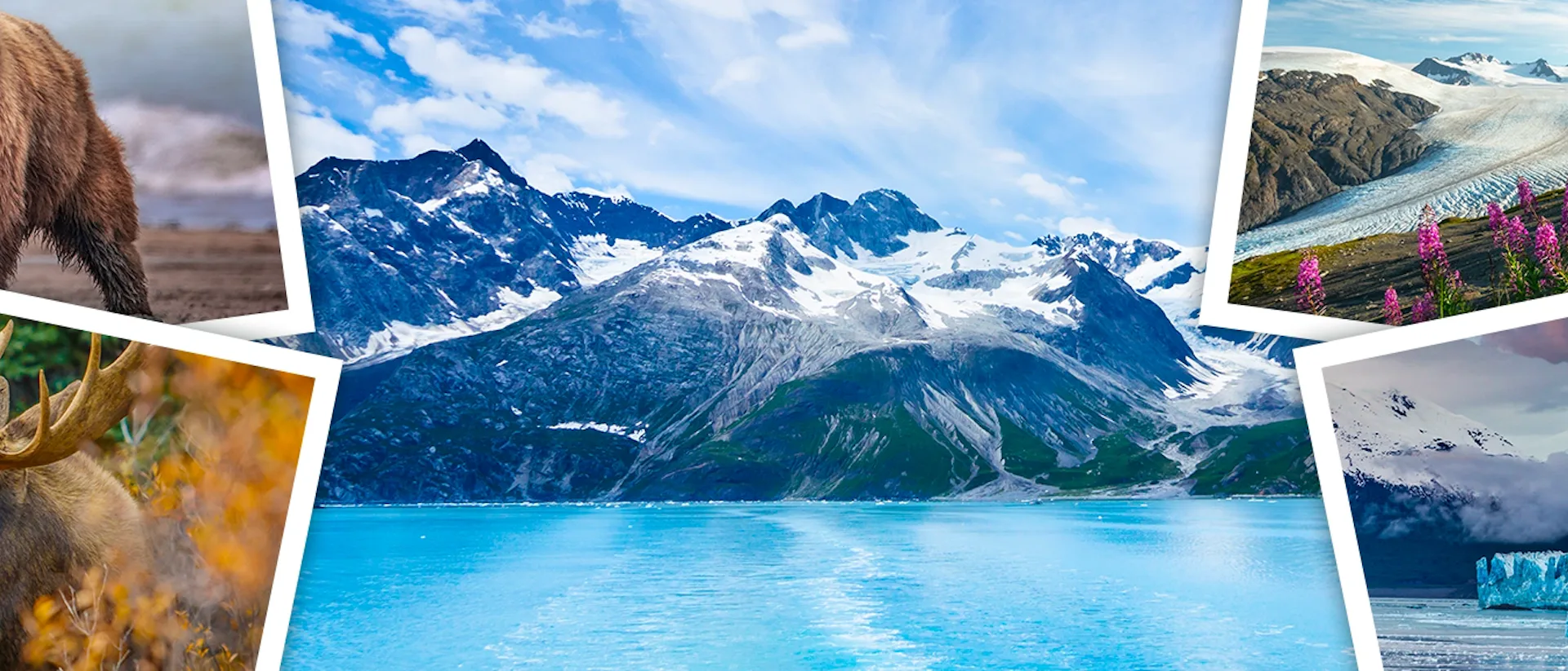 A collage of images from Alaska