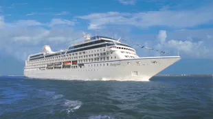 Insignia at Sea